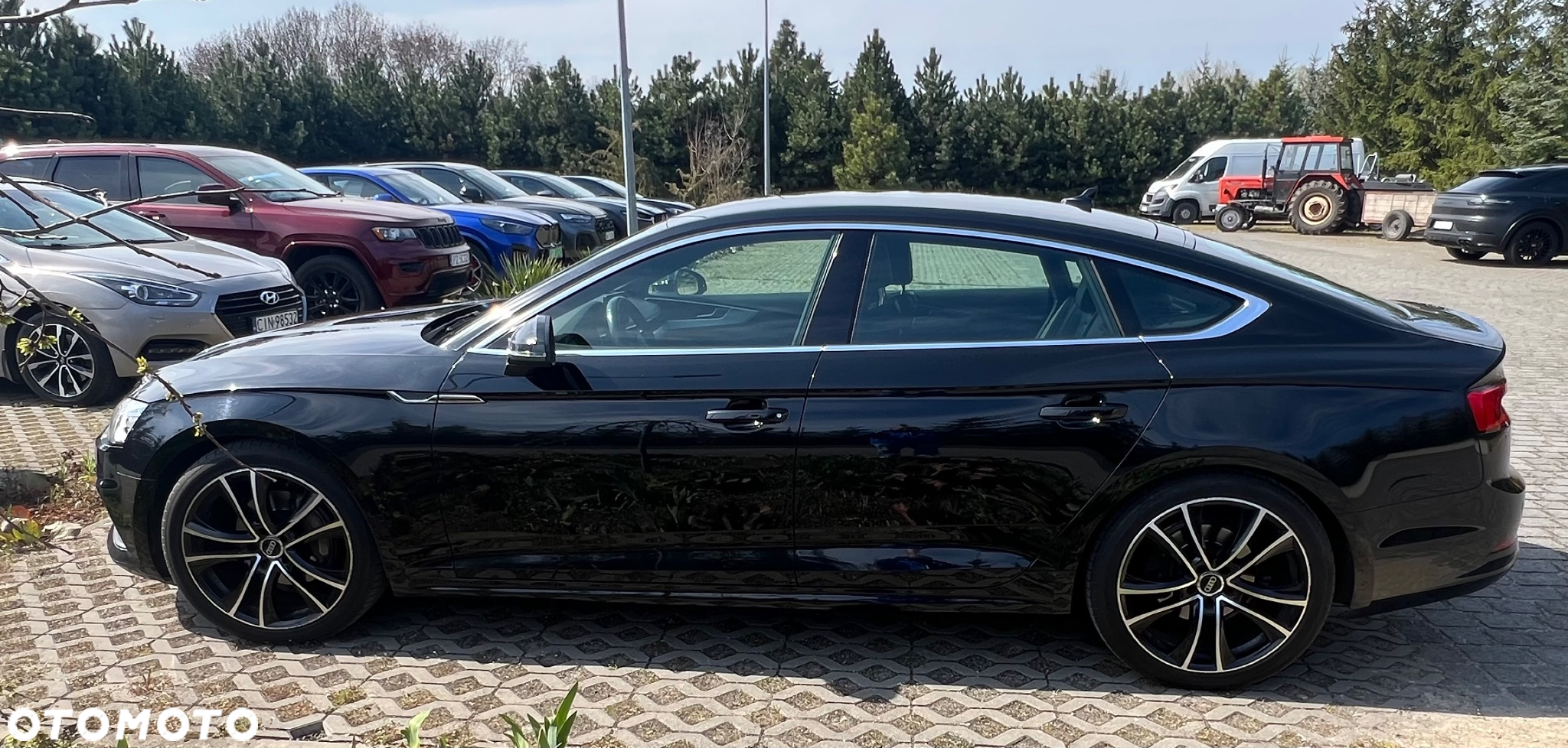 Audi A5 2.0 TDI Sportback (clean diesel) DPF multitronic - 4