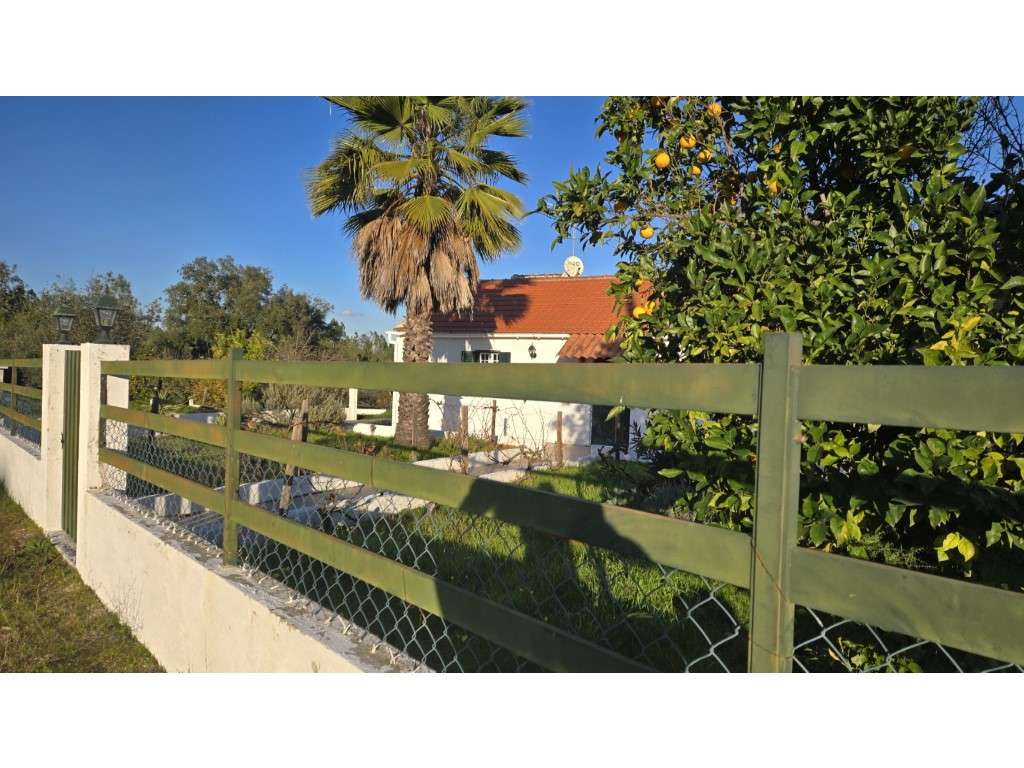 Quintinha T2 inserida em terreno com 6500 m2 - Grande imagem: 3/40