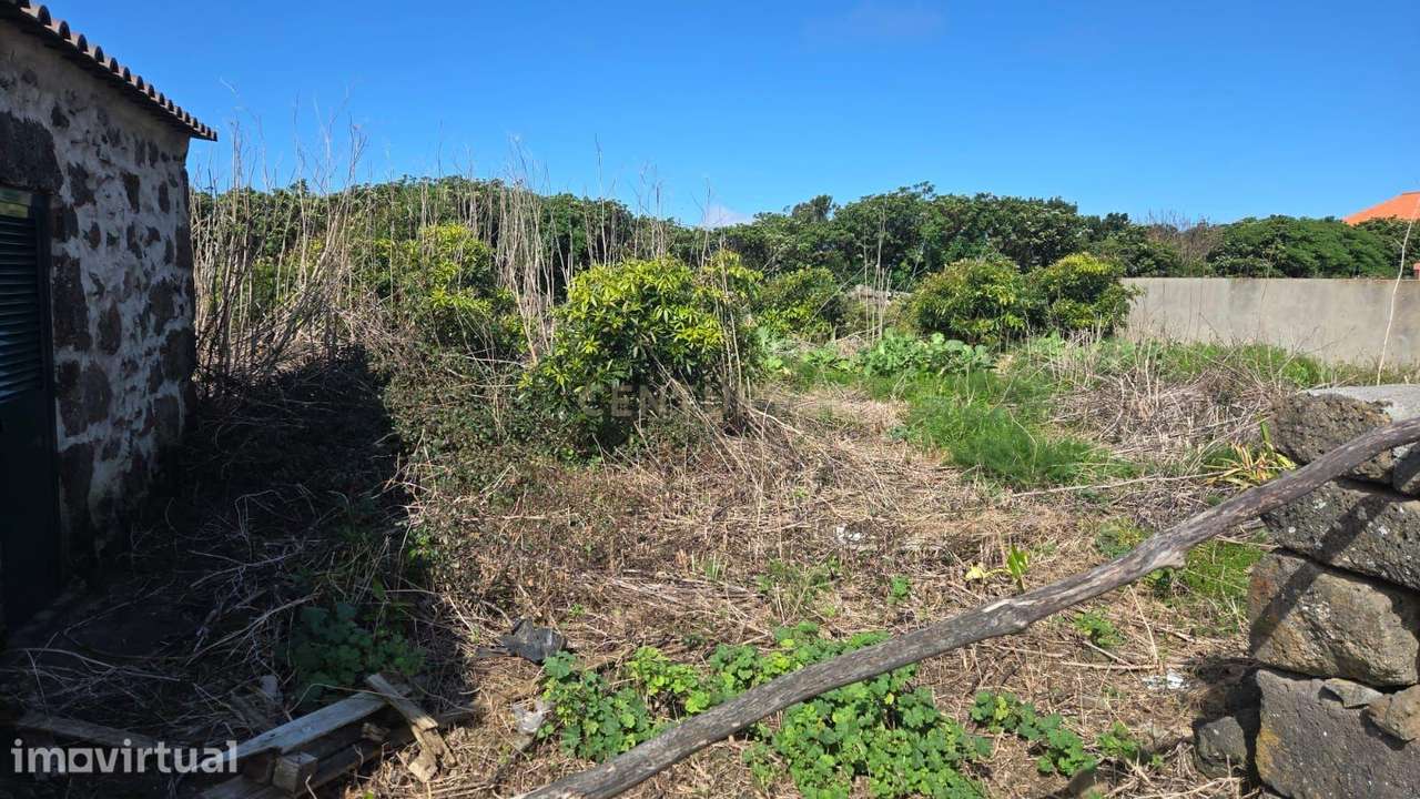 Casa T1 em Santa Cruz da Graciosa - Oportunidade Única - Grande imagem: 4/8