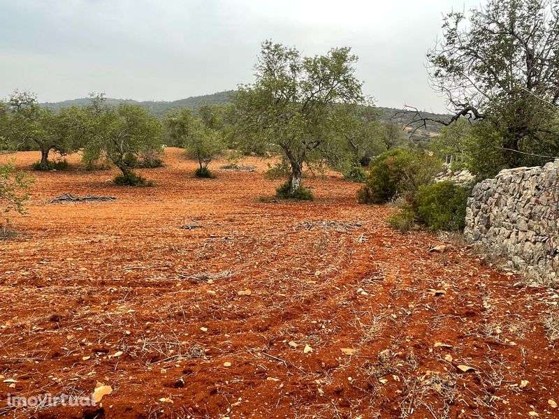 Terreno com vedação para arrendar em Paderne - Grande imagem: 3/3