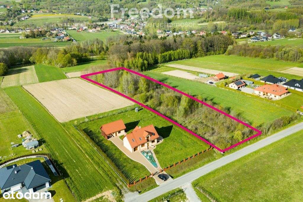 Widokowa działka 71 ar Dylągówka - Pełny obrazek: 3/8