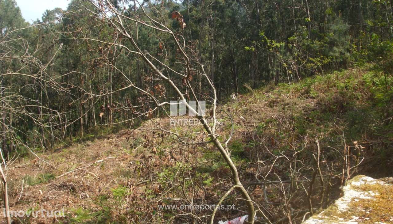 Terreno para venda, Reboreda, Vila Nova de Cerveira - Grande imagem: 4/7