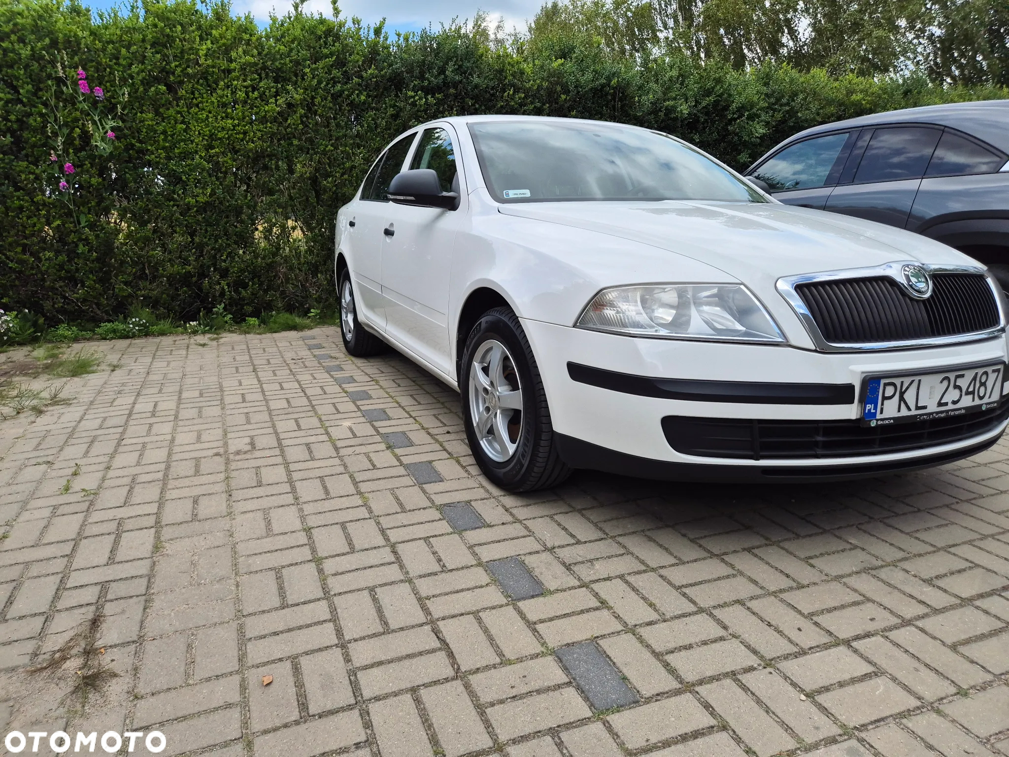 Skoda Octavia 1.6 - 2