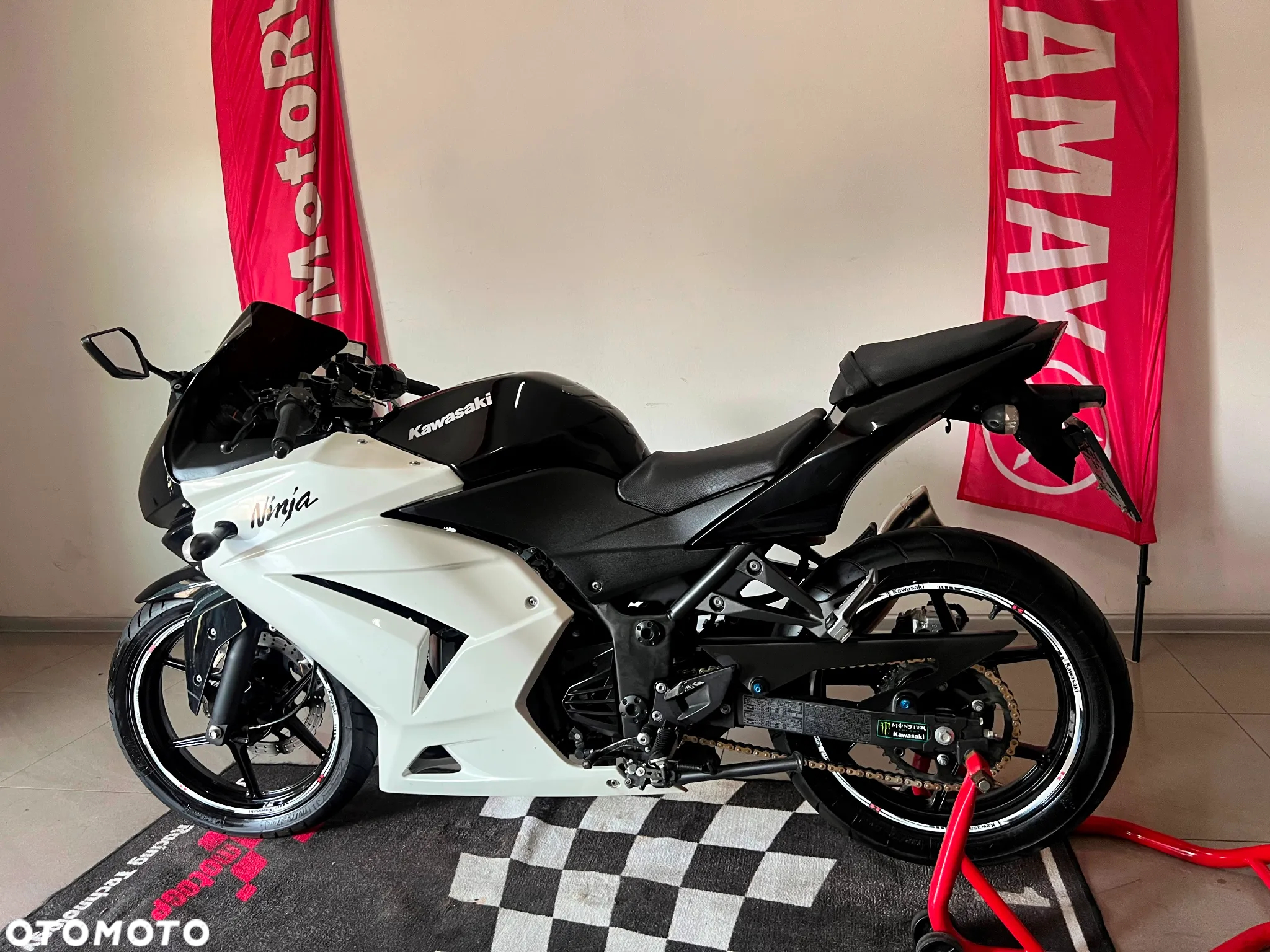 Kawasaki Ninja 250R - 10