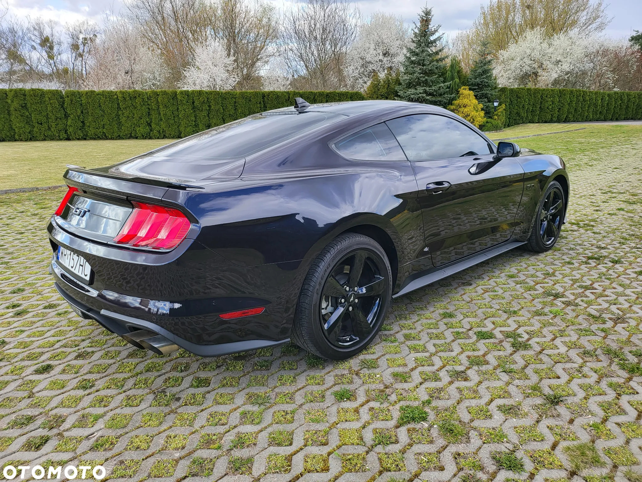 Ford Mustang 5.0 V8 GT - 5
