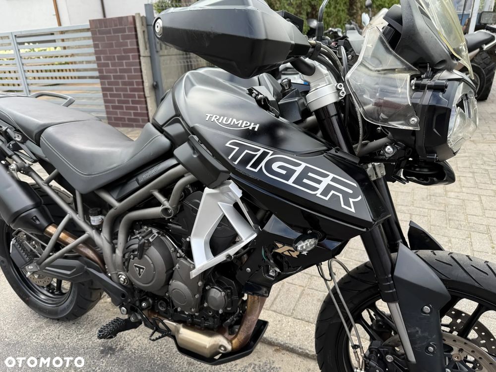 Triumph Tiger - 25
