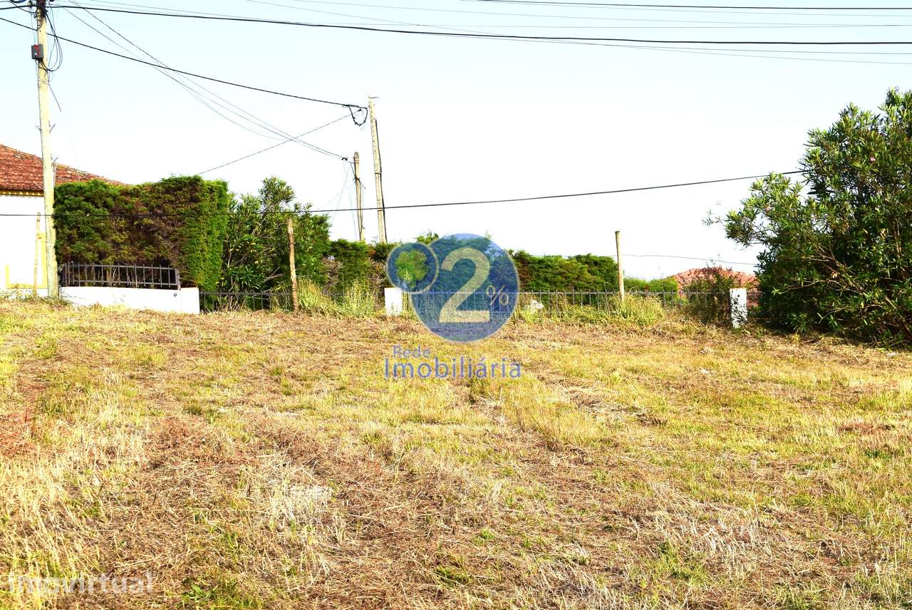 Moradia Térrea T3 p/ remodelar | Lote 1257m2 - Marrazes - Grande imagem: 5/17