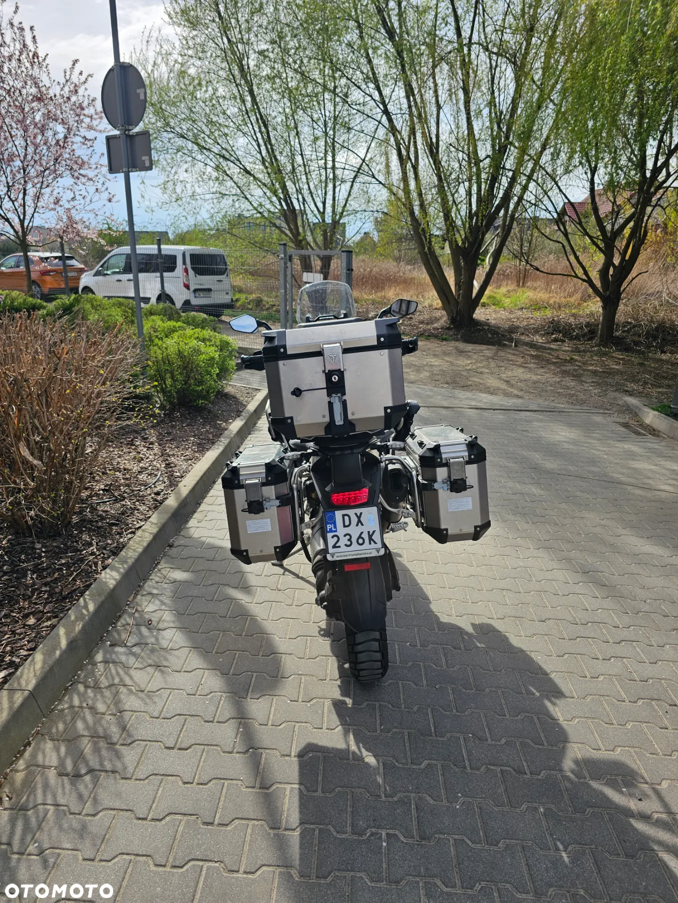Triumph Tiger - 4