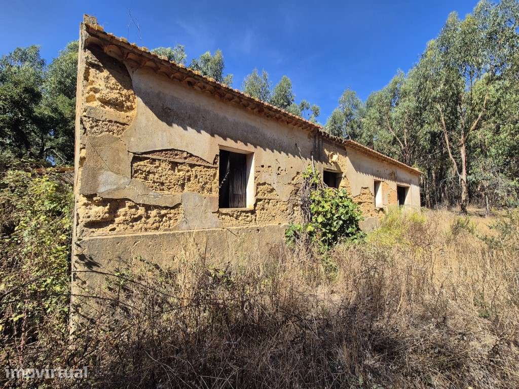 Quinta com cerca de 14 hectares e ruína - Grande imagem: 4/21