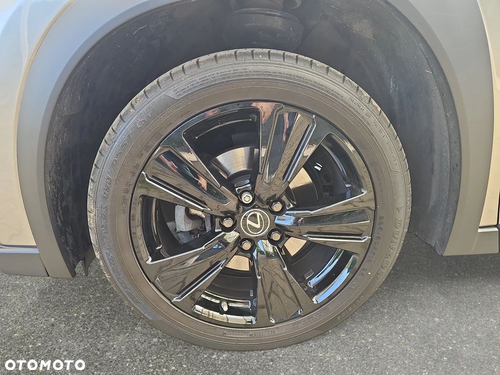 Lexus UX 200 GPF Business 2WD - 10