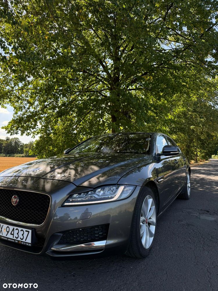Jaguar XF 20d Prestige - 14