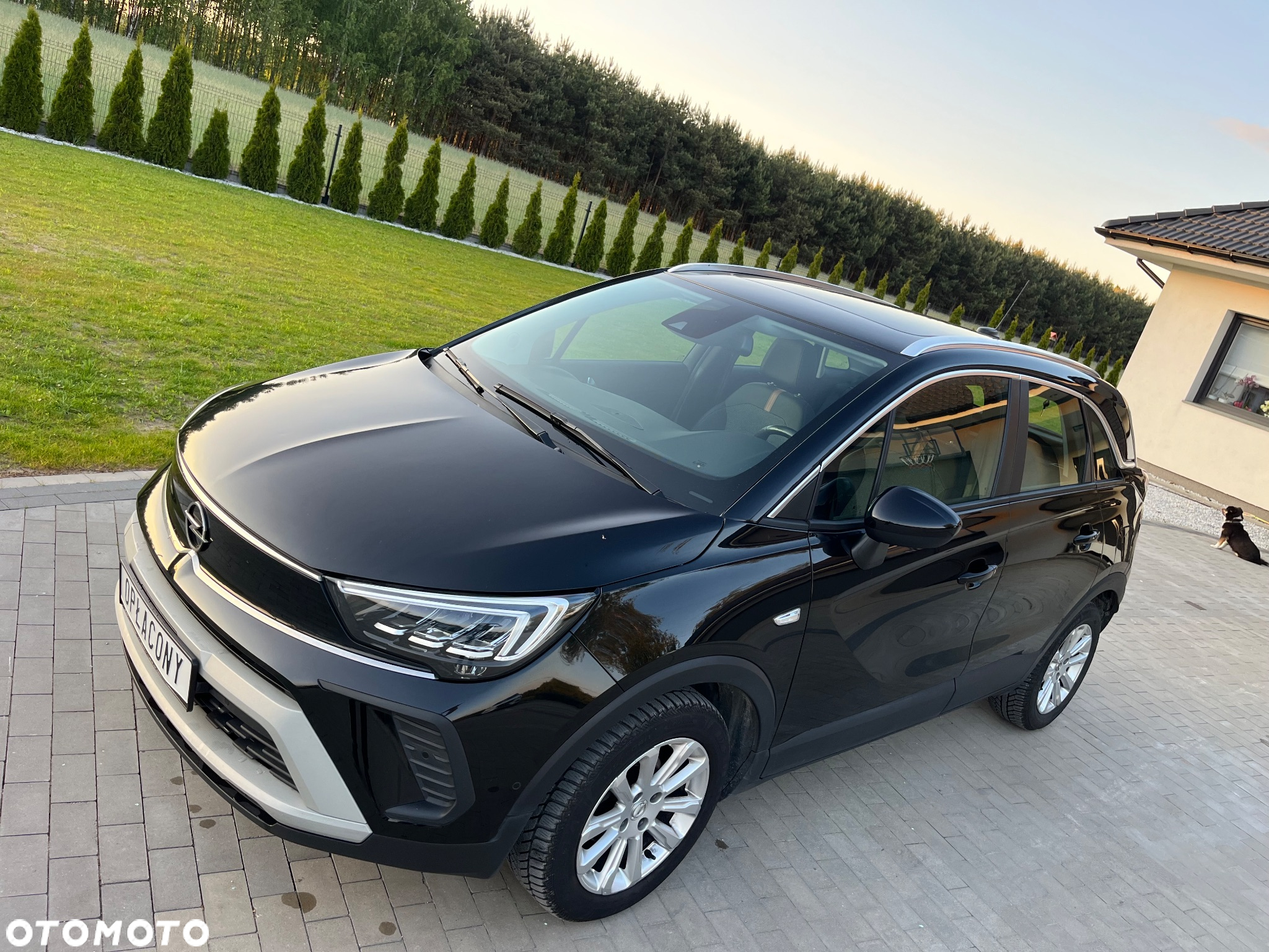 Opel Crossland X - 4