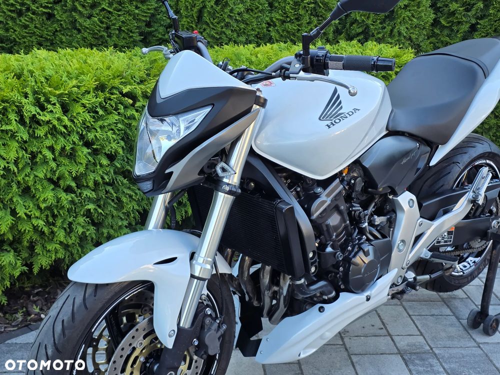 Honda Hornet - 27