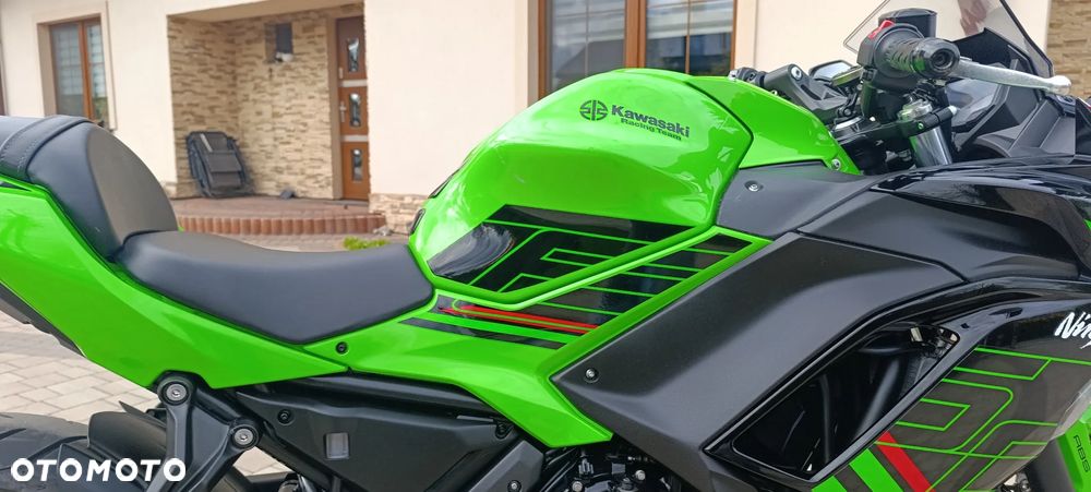 Kawasaki Ninja - 25
