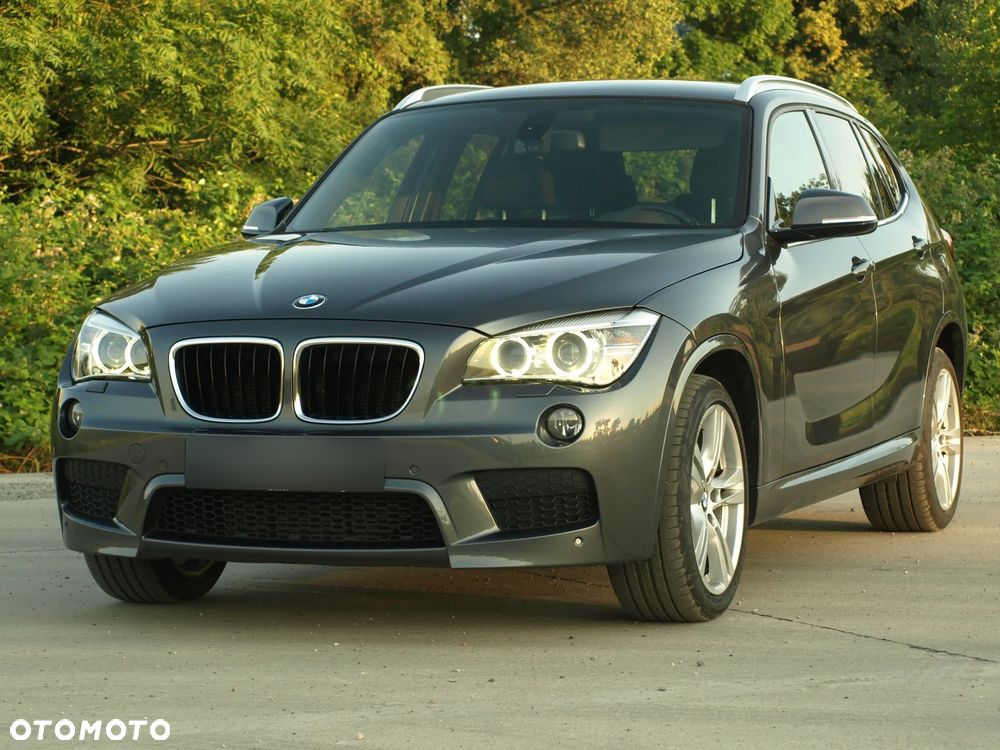 BMW X1 xDrive25d - 1