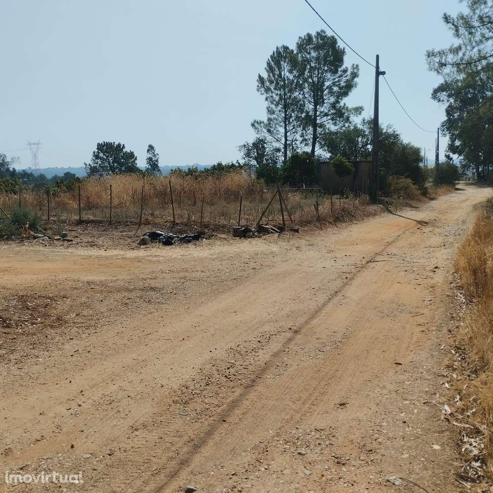 Terreno Agroflorestal em Chancelaria - Grande imagem: 4/18