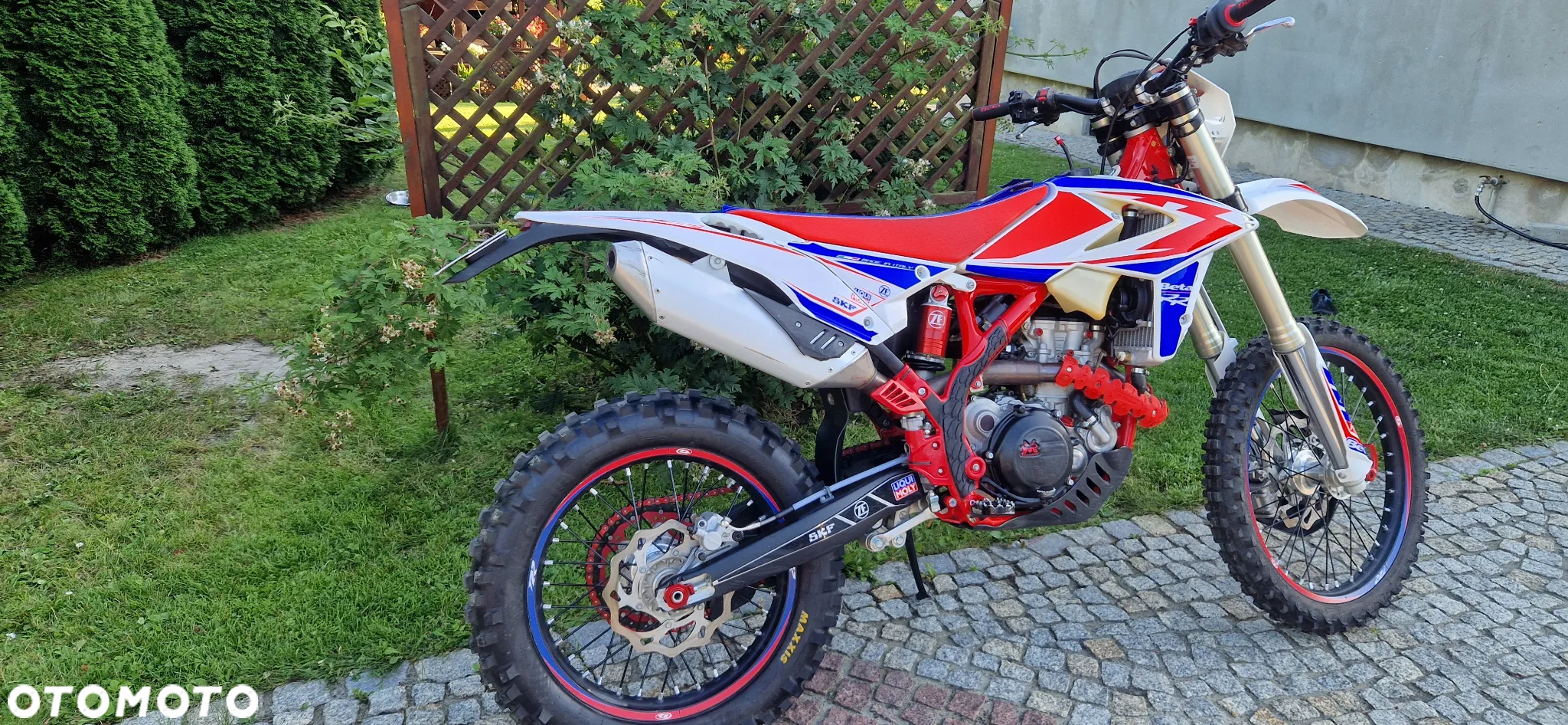 Beta RR