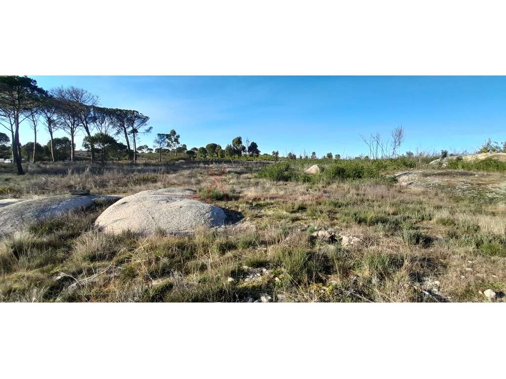 Terreno - Grande imagem: 5/8