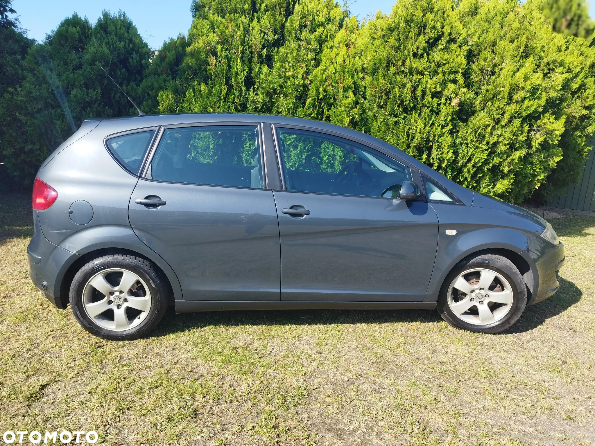 Seat Altea - 4