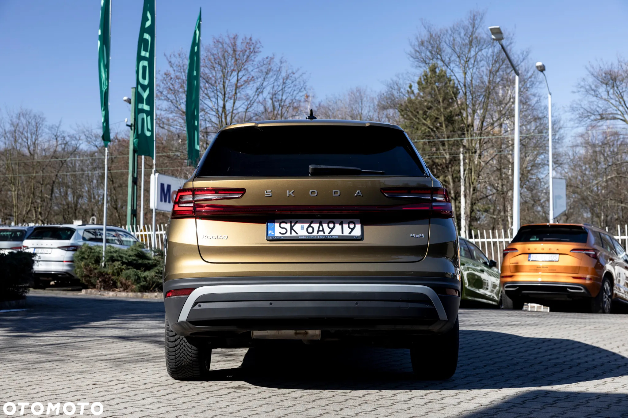 Skoda Kodiaq 2.0 TDI 4x4 Selection DSG - 6