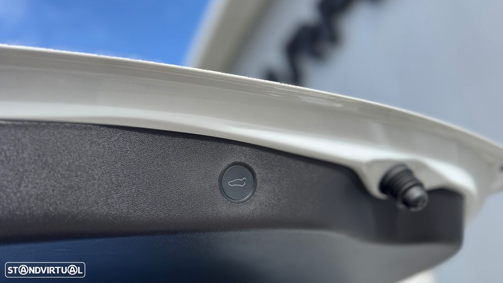 Tesla Model 3 Long Range Tração Integral - 30