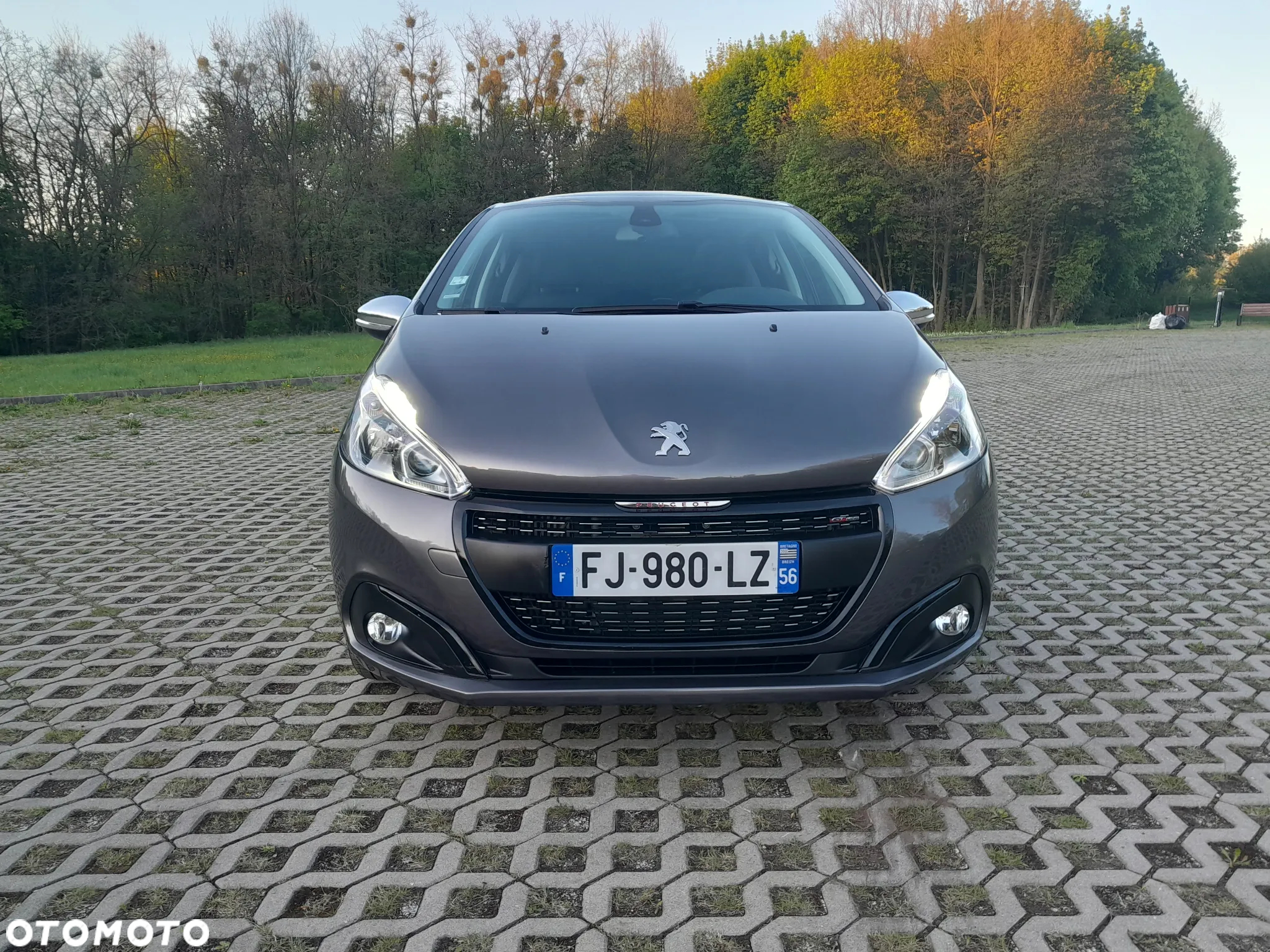 Peugeot 208 - 10