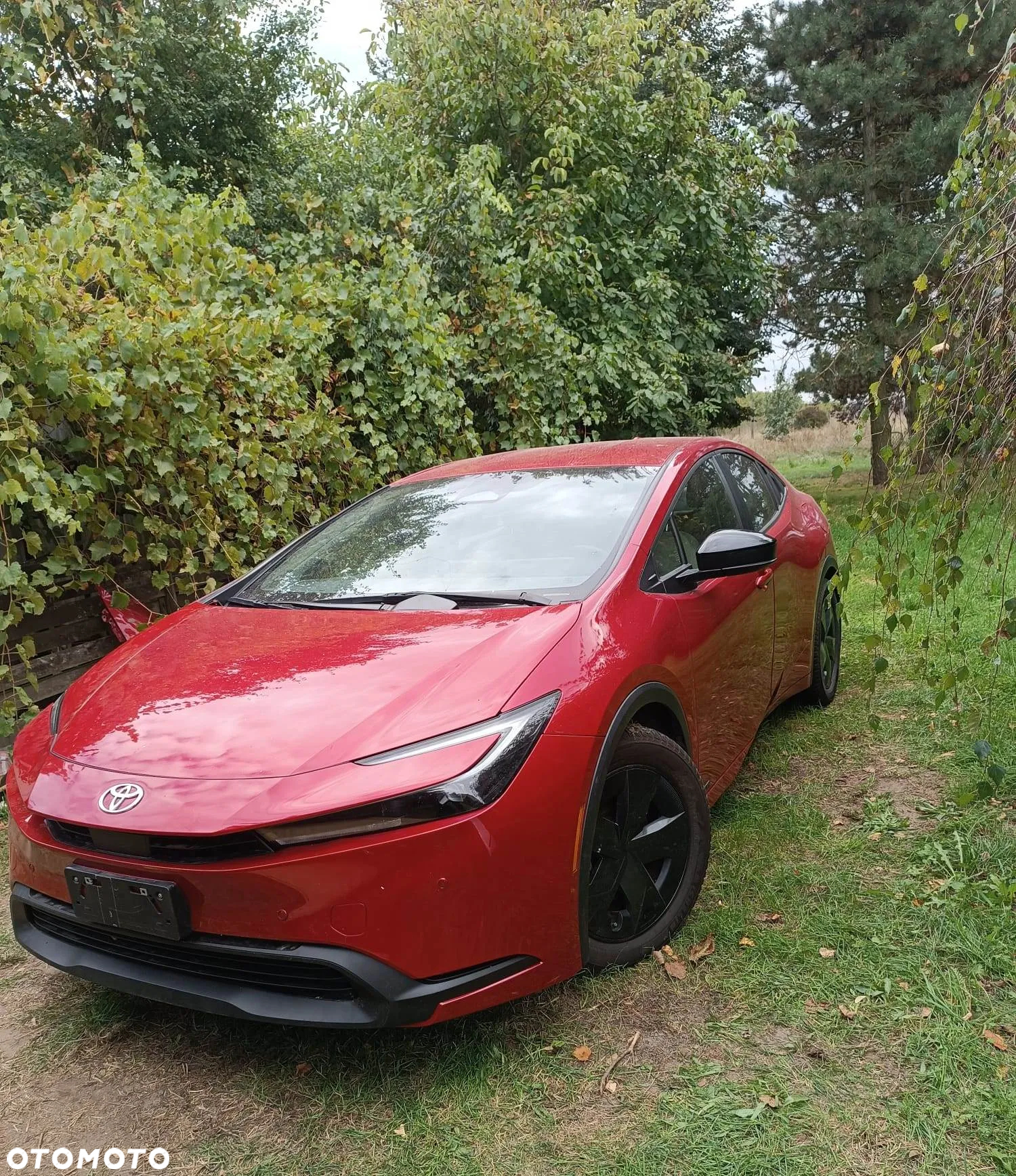 Toyota Prius - 3