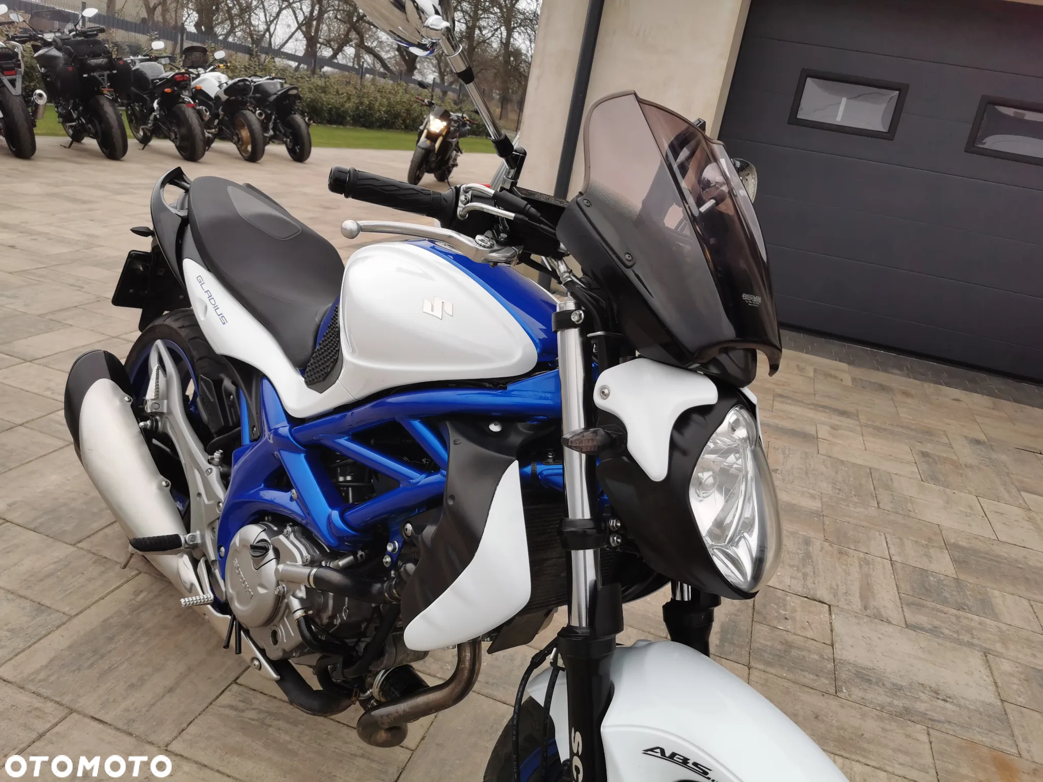 Suzuki Gladius - 21