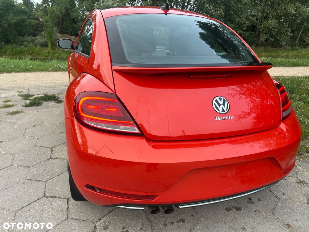 Volkswagen Beetle - 36