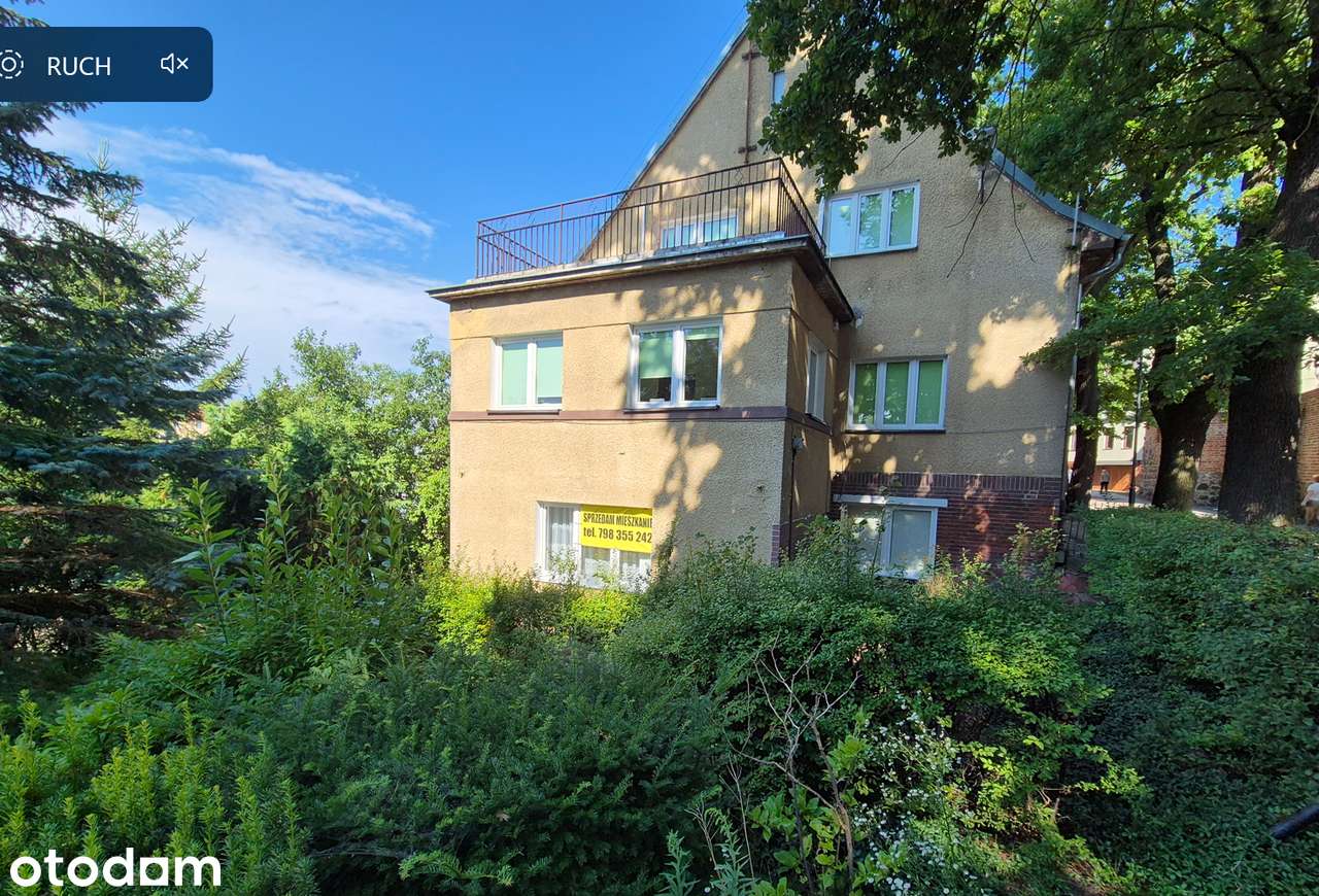 Mieszkanie 2-pokojowe 82,5m2 w centrum miasta; z ogrodem 302m2