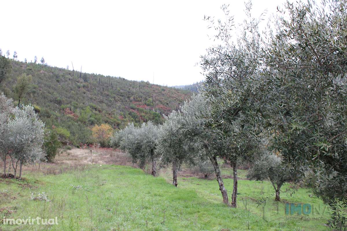 Terreno - Grande imagem: 3/29