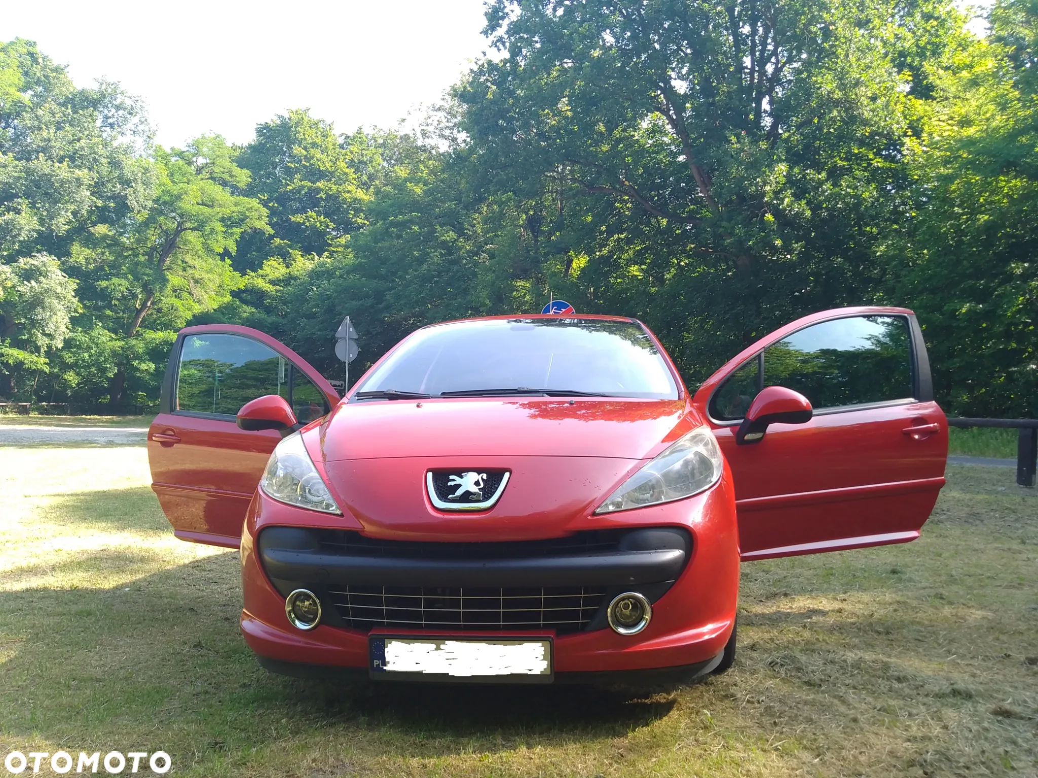 Peugeot 207 - 8