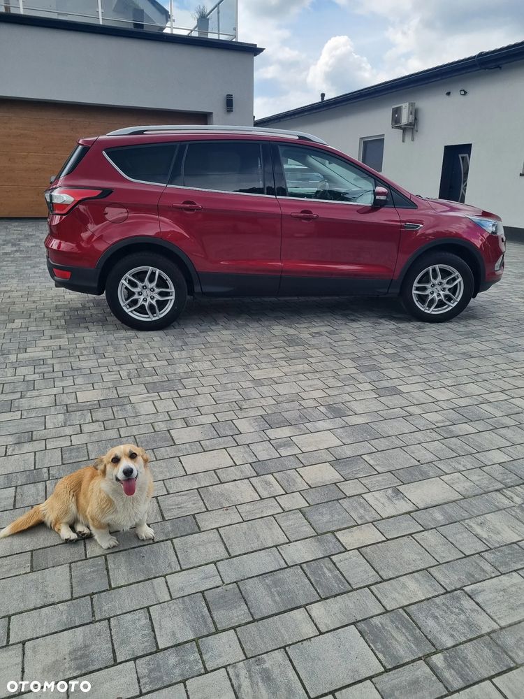 Ford Kuga 1.5 EcoBoost FWD Titanium ASS - 5