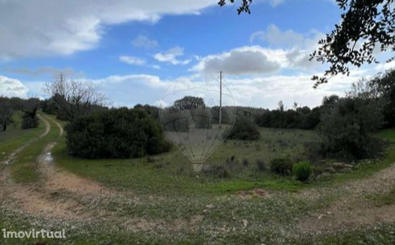 Terreno  para venda - Grande imagem: 5/9