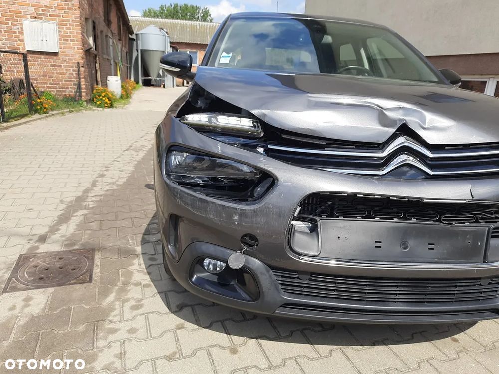 Citroën C4 Cactus - 19