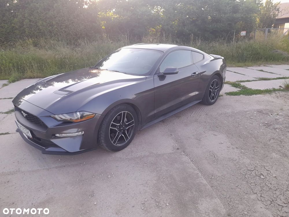 Ford Mustang - 1