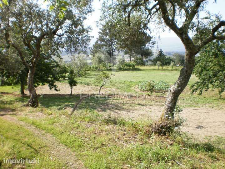 Quinta T6 com 5,6 Hectares, Duas Moradias e Água Própria | Gouveia - Grande imagem: 4/16