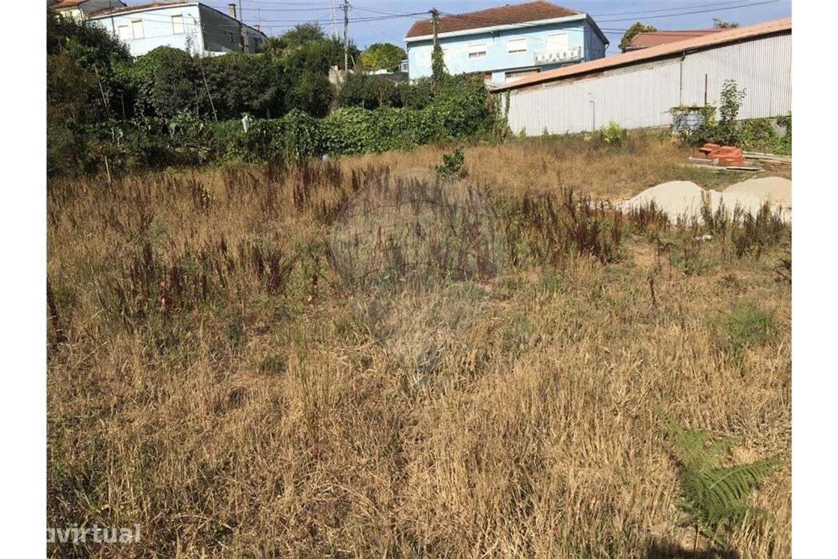 TERRENO CAMPANHÃ - 1450 M2 - Grande imagem: 3/4