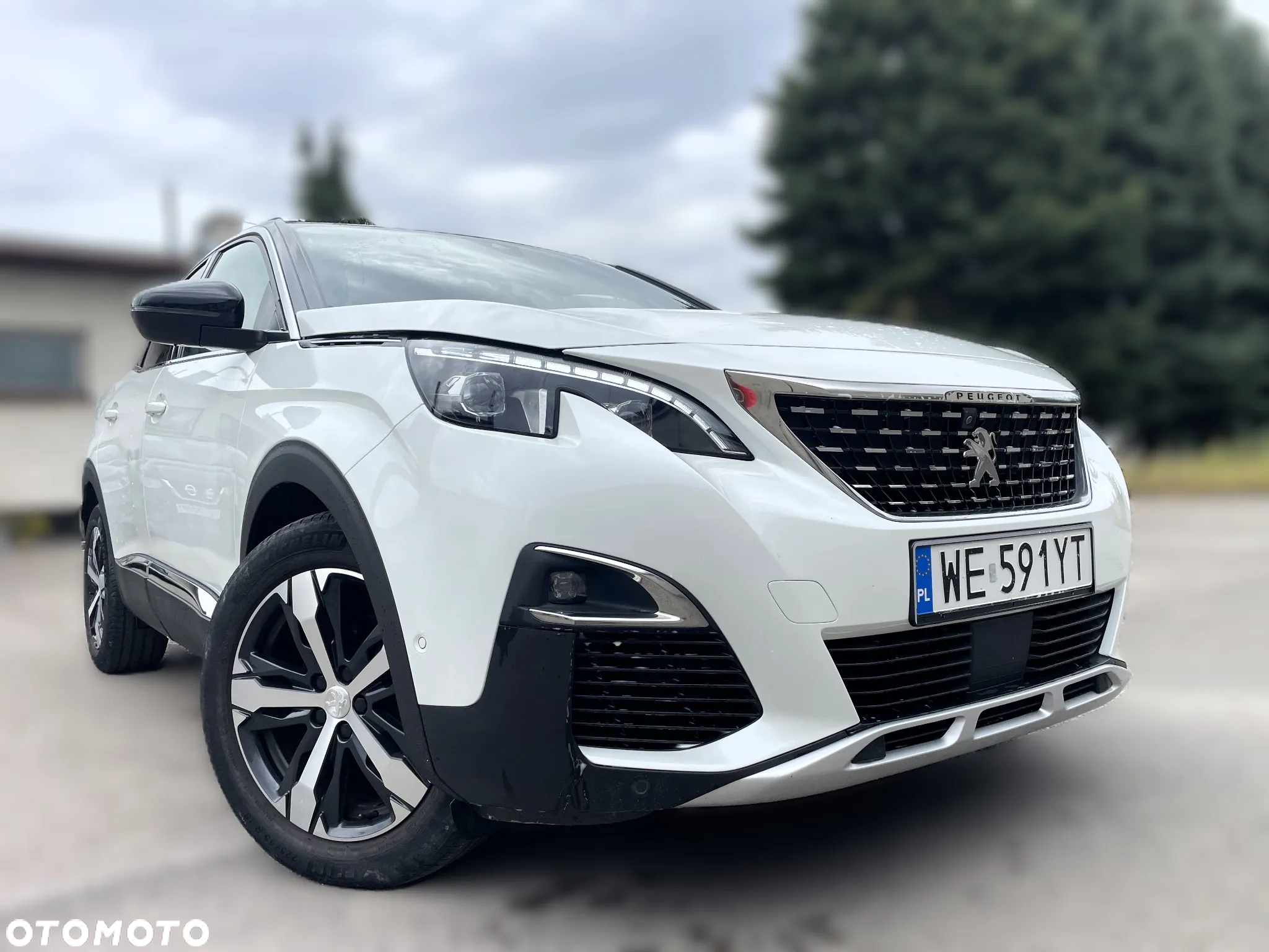 Peugeot 3008 1.6 PureTech GPF GT Line S&S EAT8 - 12