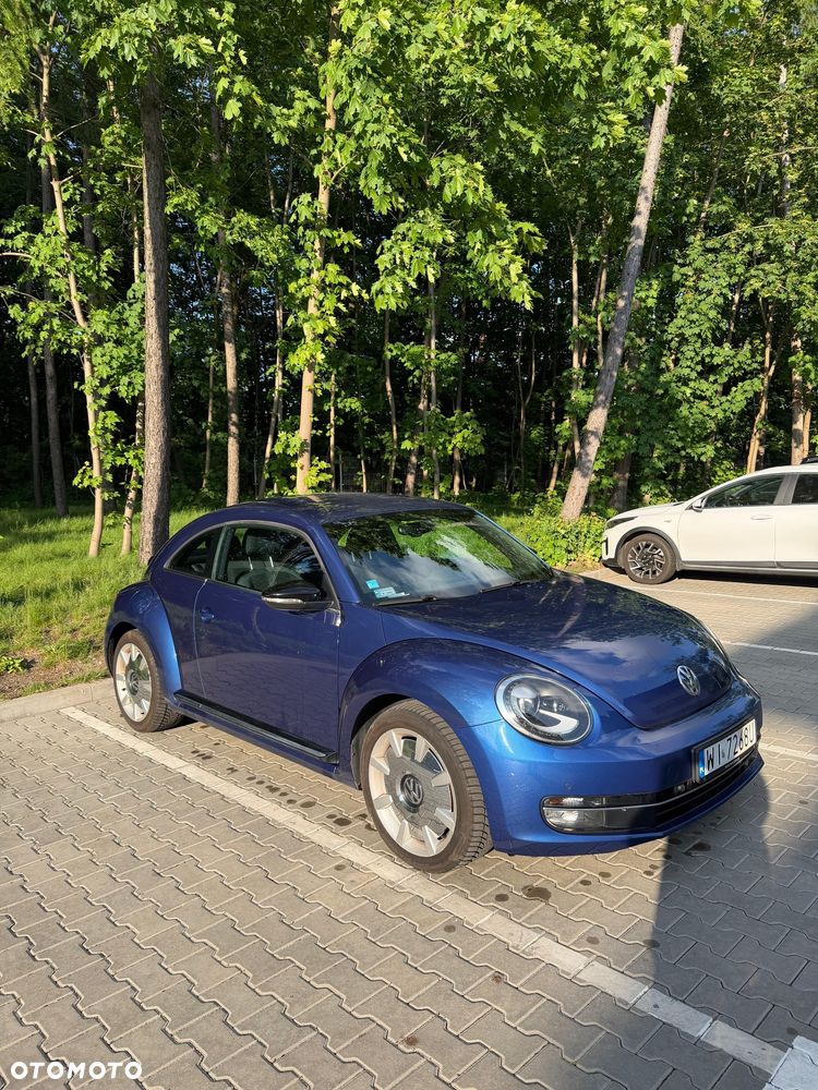 Volkswagen Beetle - 1