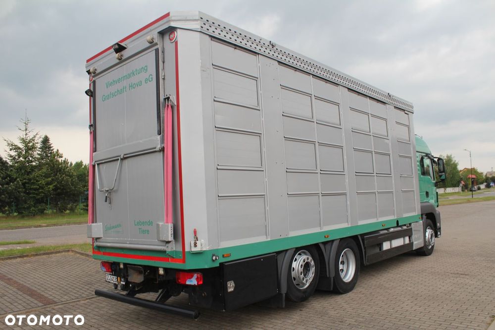 MAN TGS 26.440 DO ŻYWCA ZWIERZĄT BYDŁA Z NIEMIEC - 9