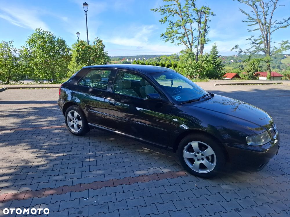 Audi A3 3-drzwiowe 1.6 Ambition - 5