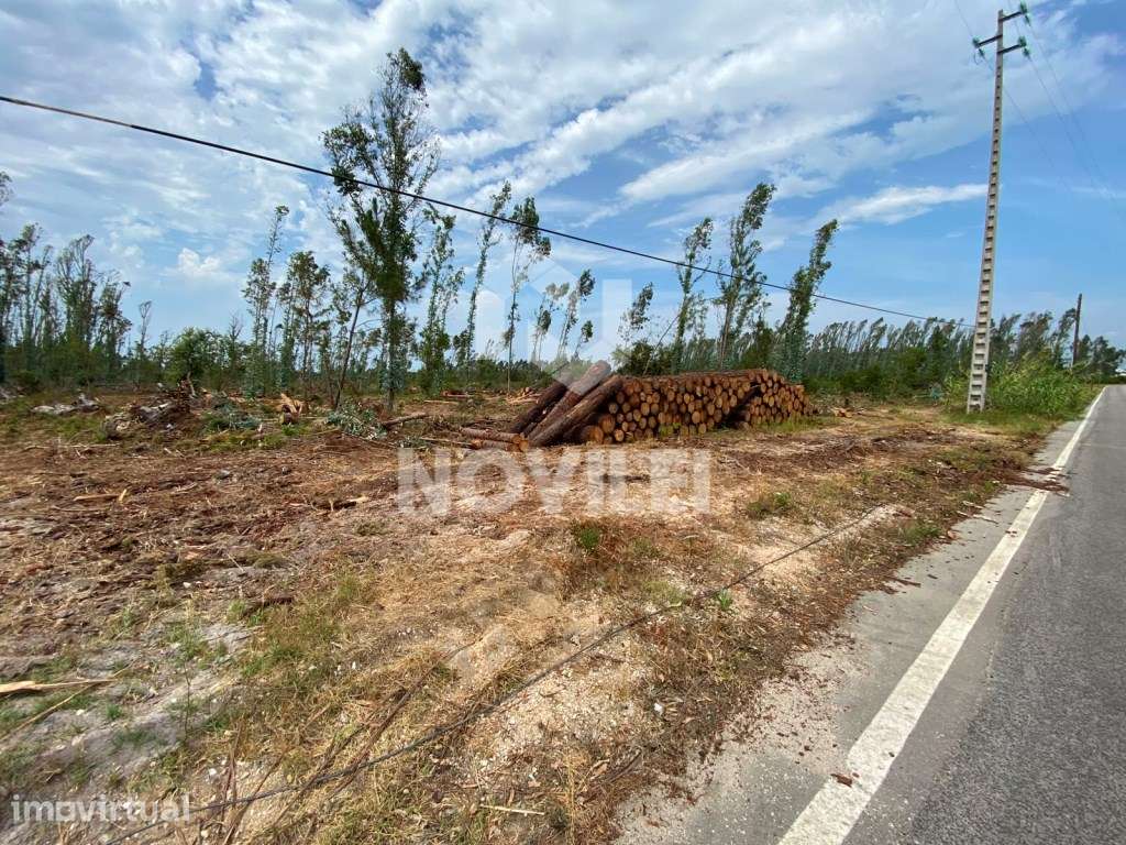 Terreno com 11000m² na Fonte Santa, próximo do centro da Marinha Gr... - Grande imagem: 5/7