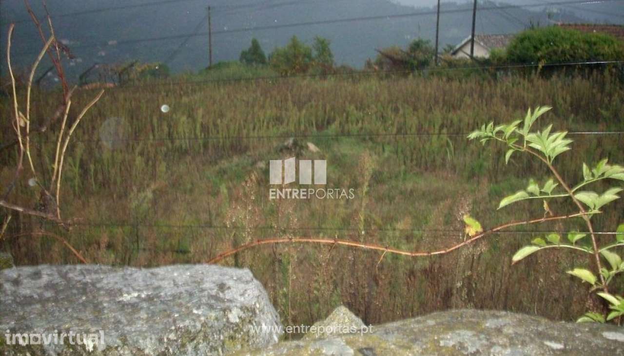 Venda Terreno, Ancede, Baião - Grande imagem: 4/4