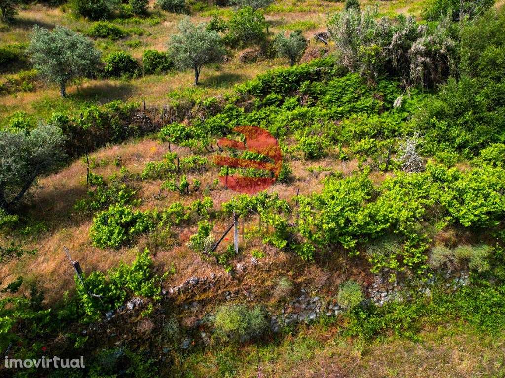 QUINTINHA - Grande imagem: 4/11