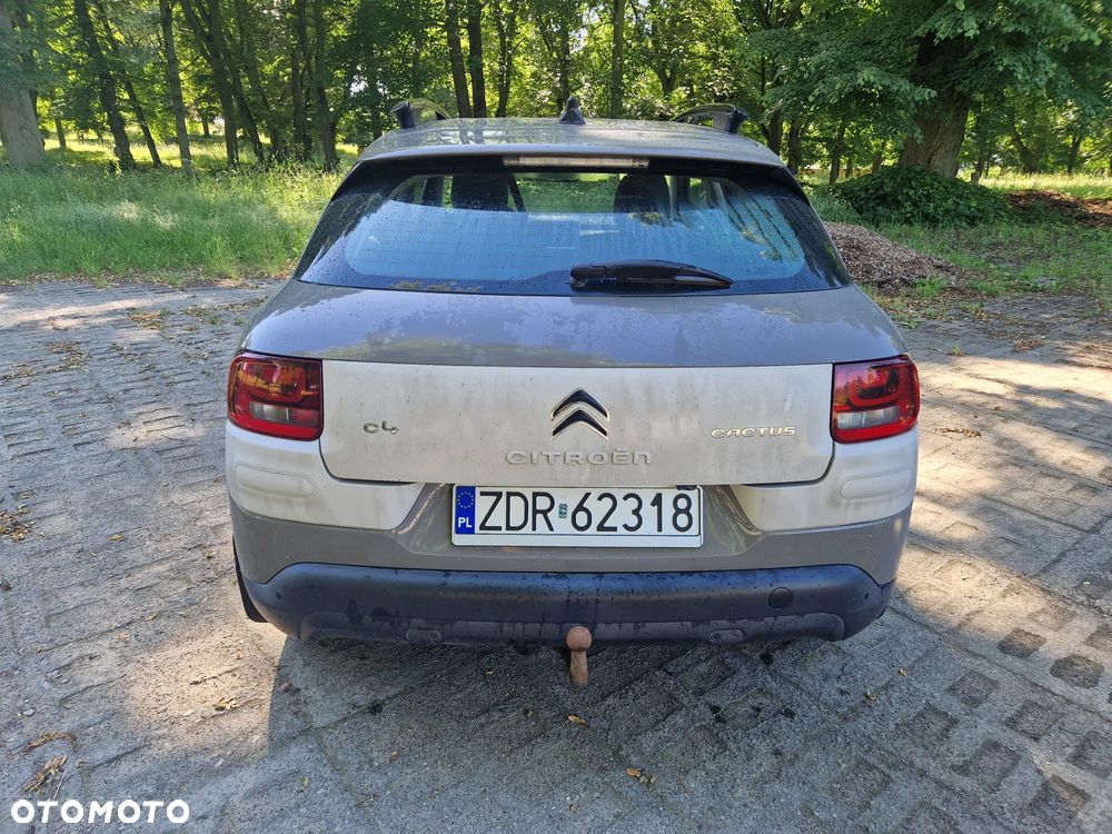Citroën C4 Cactus BlueHDi 100 Stop&Start Shine Edition - 5