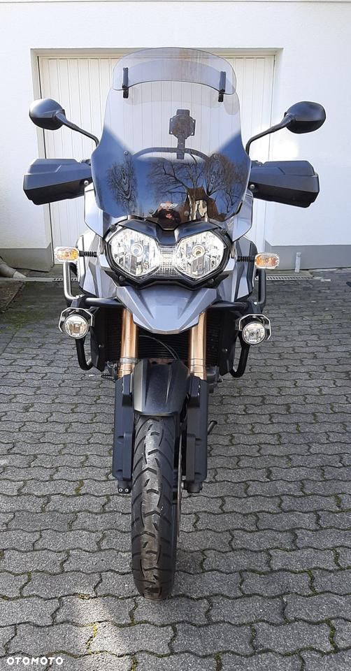 Triumph Tiger - 5