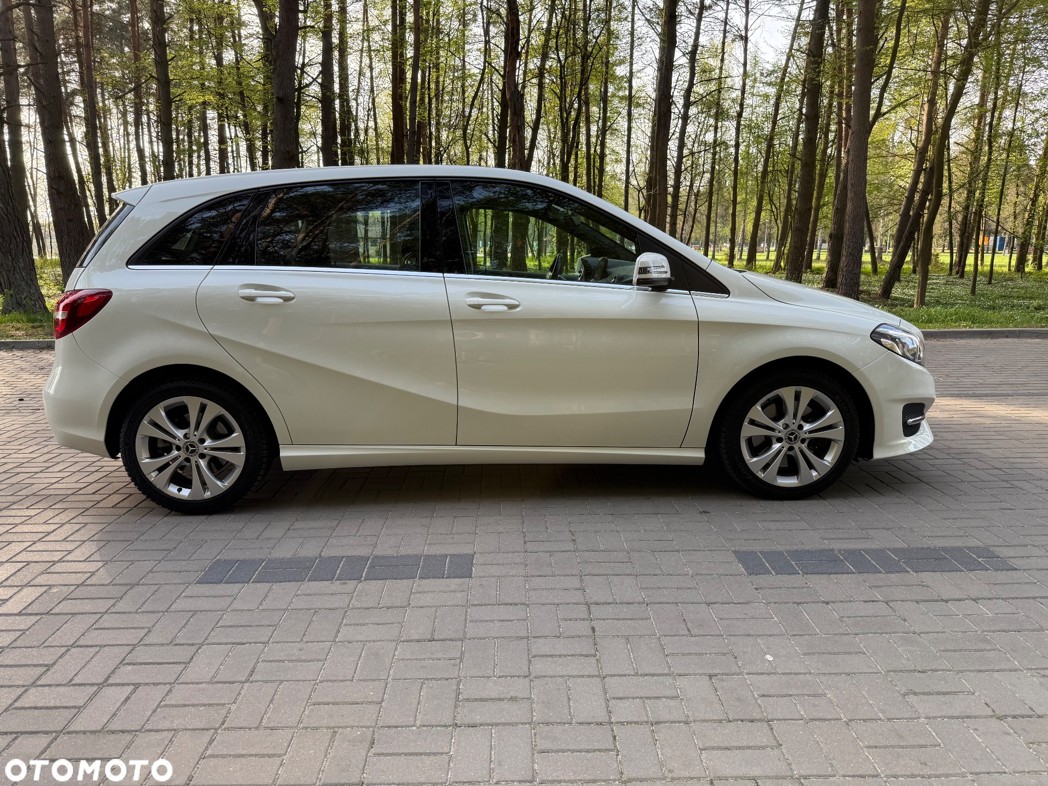 Mercedes-Benz Klasa B 250 4-Matic - 8
