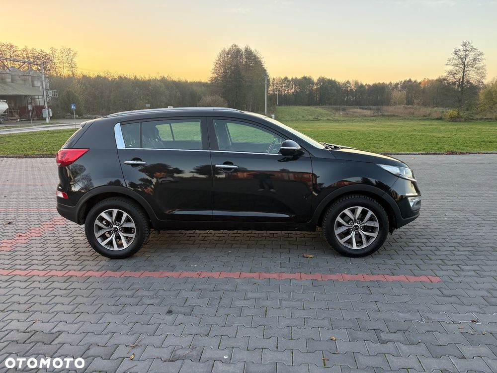 Kia Sportage - 3