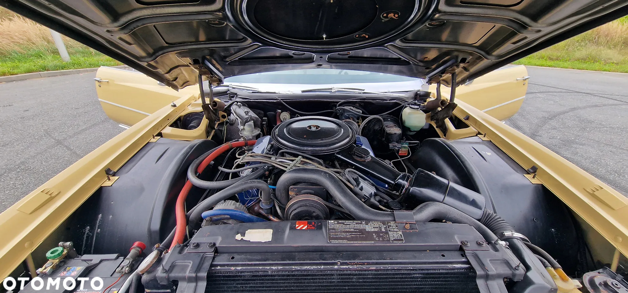 Cadillac Eldorado - 30